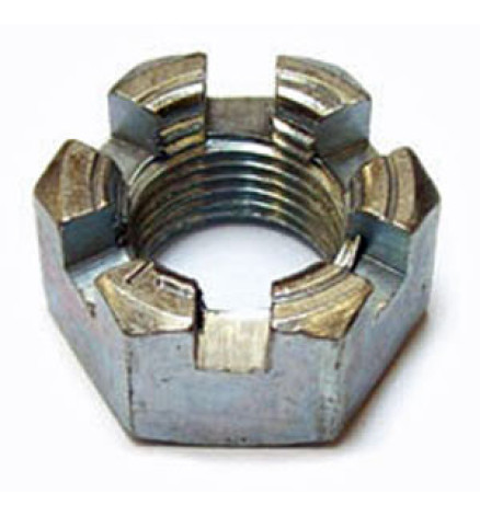 DADO MOZZO POSTERIORE - DX